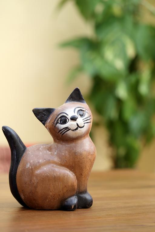 Thai Cat Hostel Bangkok Ngoại thất bức ảnh