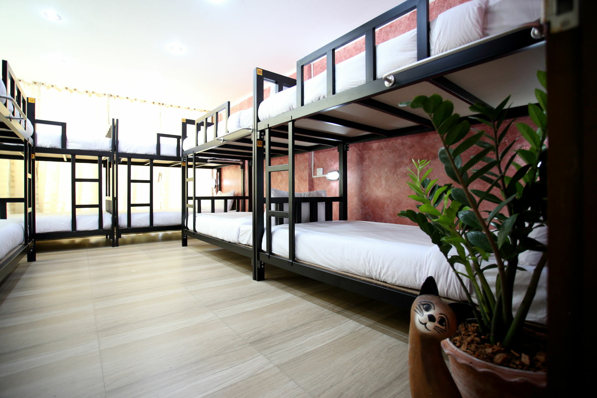 Thai Cat Hostel Bangkok Ngoại thất bức ảnh