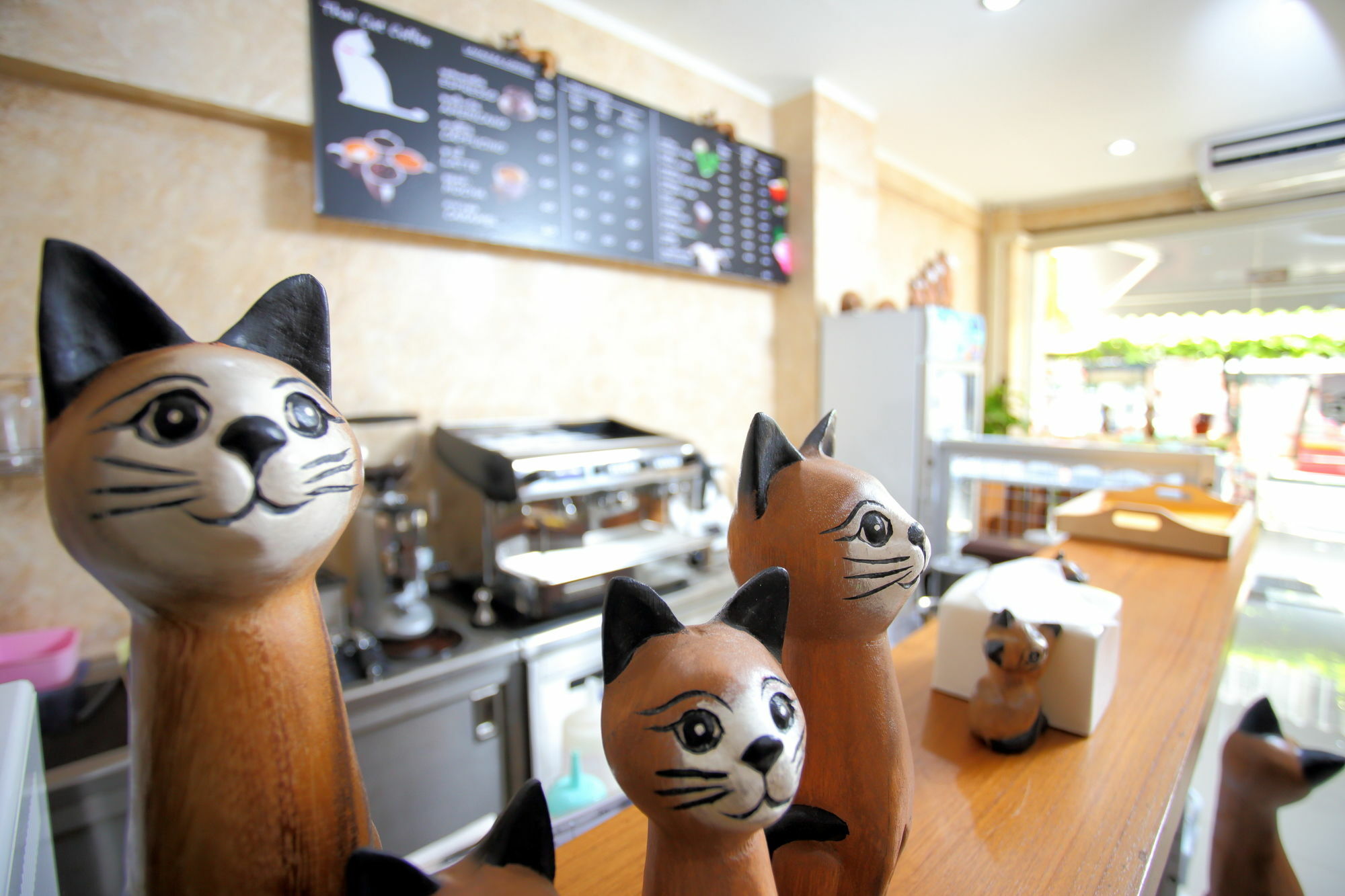 Thai Cat Hostel Bangkok Ngoại thất bức ảnh